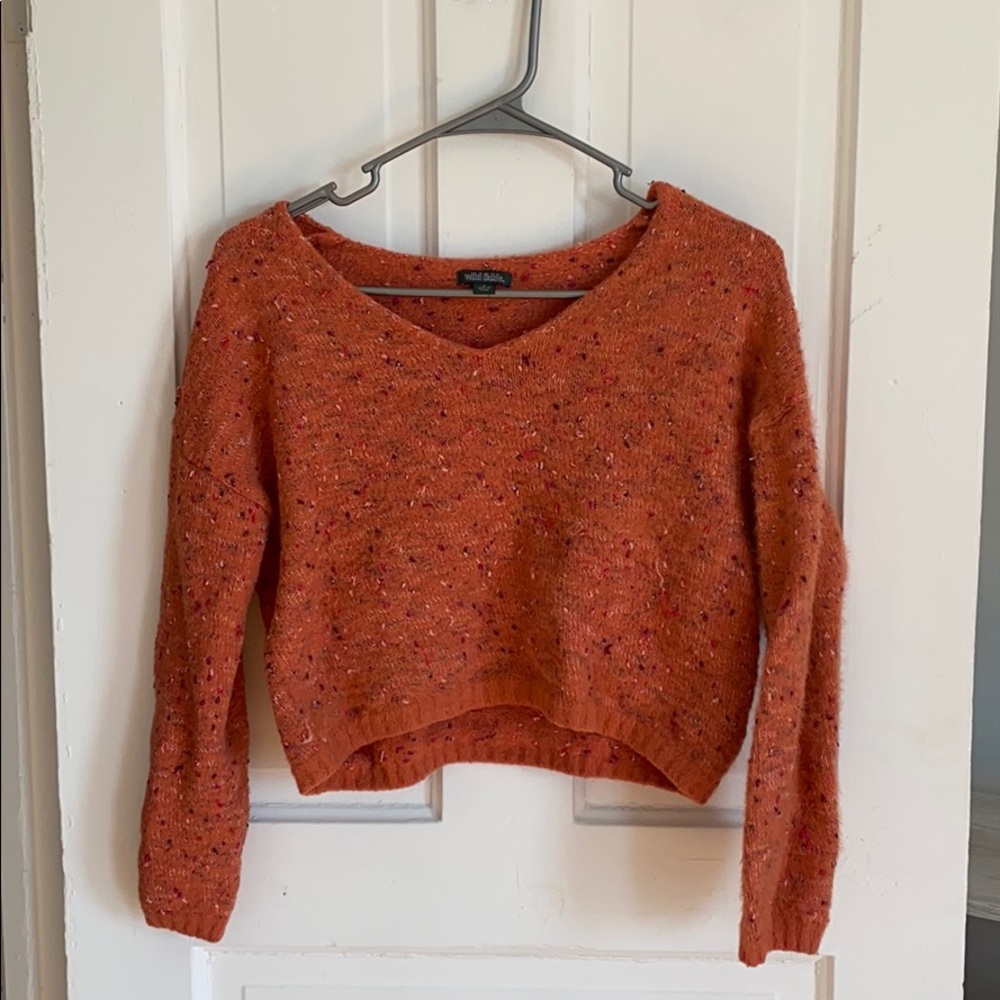 Wild fable cropped sweater